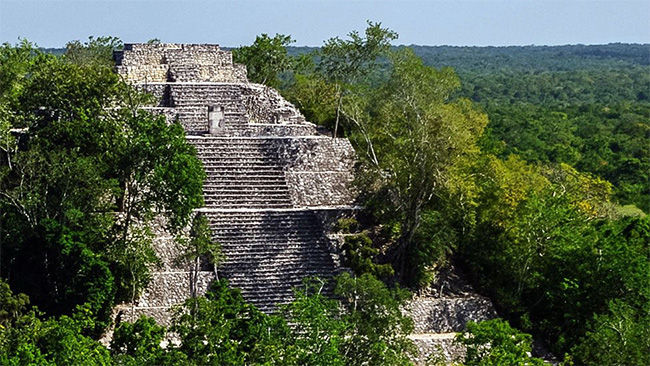 Lost Mayan city found in Mexico jungle by accident