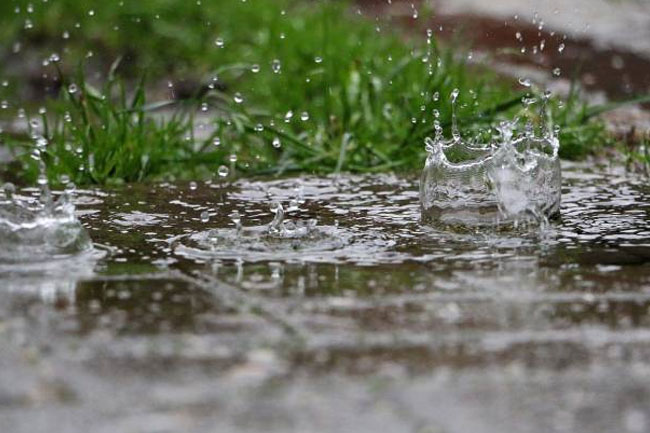 Heavy showers expected in parts of the island