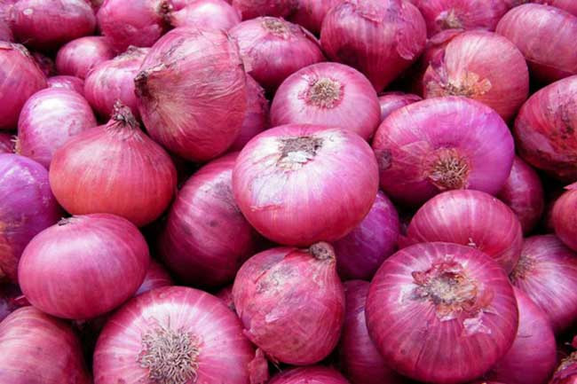 Special Commodity Levy on big onions reduced