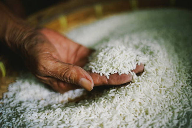 Mill owners warn of looming rice shortage 