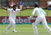 Verreynne ton propels Proteas to 358