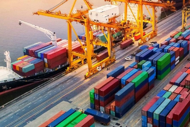 Sri Lankas merchandise exports dip by 5.6% in November 2024