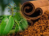 Sri Lanka plans to double cinnamon export revenue