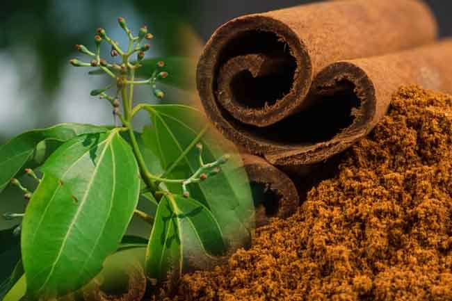 Sri Lanka plans to double cinnamon export revenue