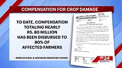 Compensation for crop damage in 'Yala' season to be fully settled by Jan. 5 (English)