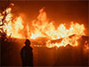 Tens of thousands flee as wildfires tear through Los Angeles area