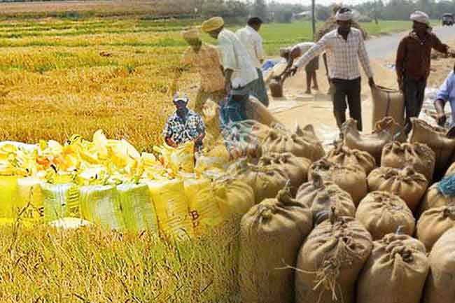 Registration mandatory for mill owners purchasing paddy