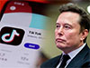 TikTok says report of possible sale to Musk pure fiction