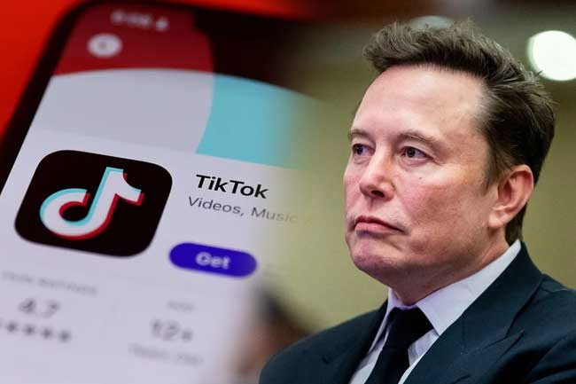 TikTok says report of possible sale to Musk pure fiction