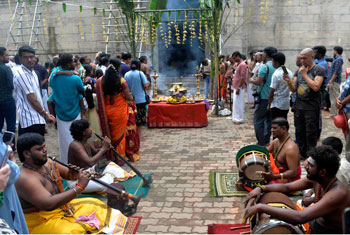 Thai Pongal