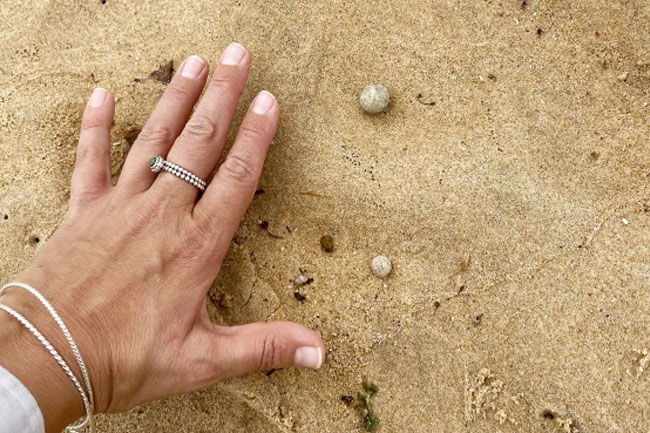 Sydney beaches shut once again over mysterious debris washed on shore