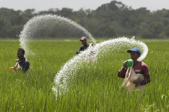 95% of fertilizer subsidy funds disbursed