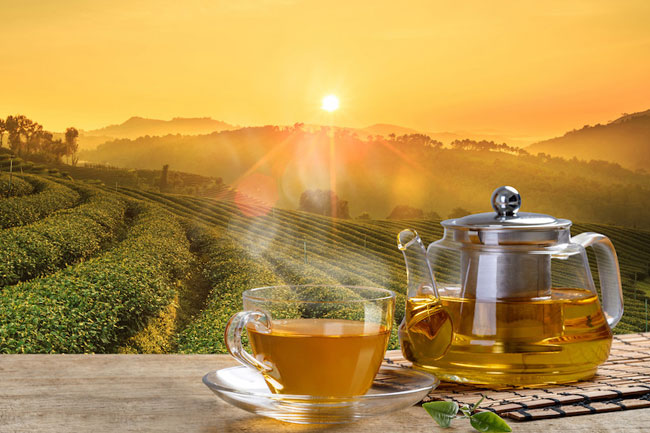 UK tea experts explore trading opportunities with Sri Lankan specialty tea producers