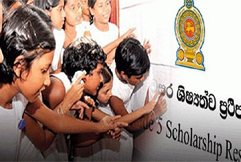 2024 Grade 5 Scholarship Exam results released