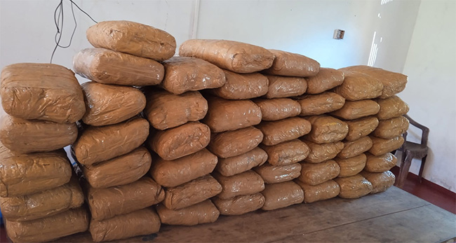 Suspect arrested with over 100 kg of Kerala cannabis in Palali