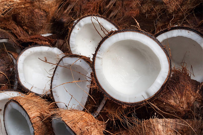 Cabinet nod to import coconut kernel-related products equivalent to 200M coconuts