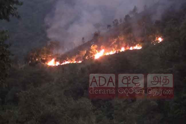 Ella Rock forest fire controlled, motorists caution