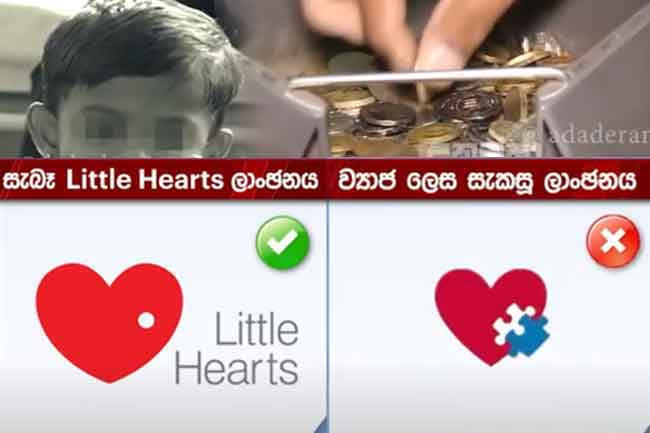 Two arrested for embezzling funds using Little Hearts project name