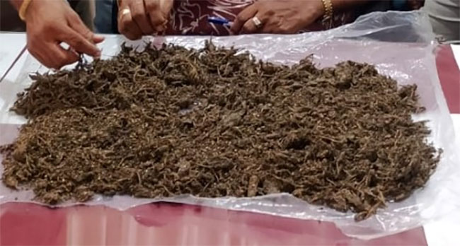 Over 400 kg of Kerala cannabis transported in lorry seized 