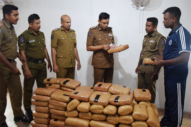 Suspect arrested while transporting over 247kg of cannabis in Chilaw