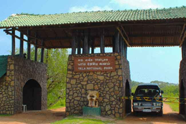 Yala National Park temporarily closed