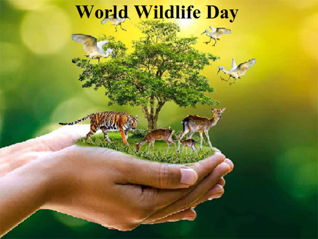 World Wildlife Day: All you need to know