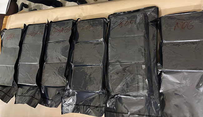 Canadian woman arrested at BIA with over 17 kg of Hashish