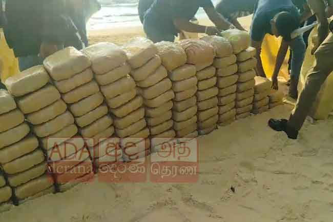 350 kg of Kerala cannabis seized in Point Pedro