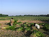 Panic in Pakistan as India vows to cut off water supply over Kashmir