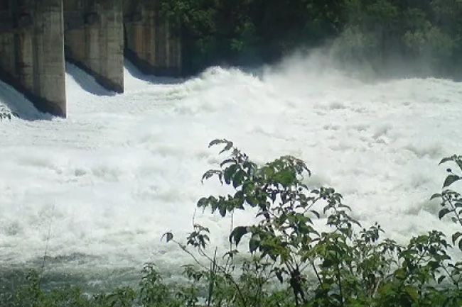 24 major reservoirs overflow amid heavy rainfall 