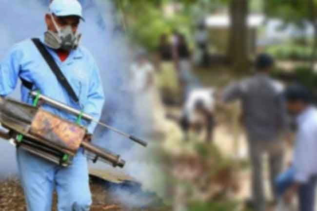 Task Force appointed to combat Dengue & Chikungunya in Western Province