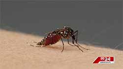 Health officials warn of critical situation due to spread of Dengue and Chikungunya (English)