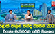 VOTING DAY 🔴LIVE | Local Govt Election 2025 | Special Election Broadcast | SRI LANKA DECIDES - PART 05