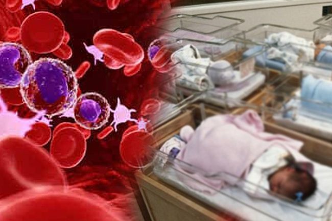 2,000-2,500 children in Sri Lanka suffering from Thalassemia: Health Officials