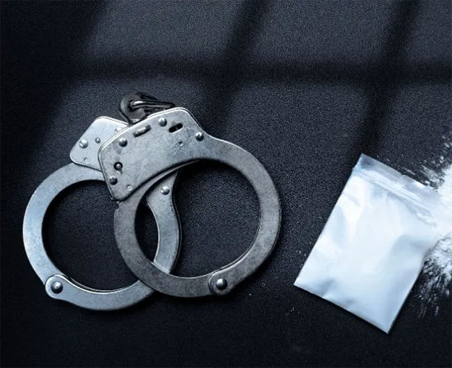 Customs seizes Rs. 68M worth of narcotics concealed in sea cargo from Oman