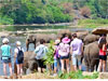 Over 30,000 tourists arrive in first week of May 
