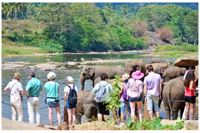 Over 30,000 tourists arrive in first week of May