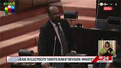 No increase in electricity tariffs in next revision, says Minister of Energy (English)