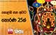 කොළඹ සහ අවට තොරණ 25ක් 
