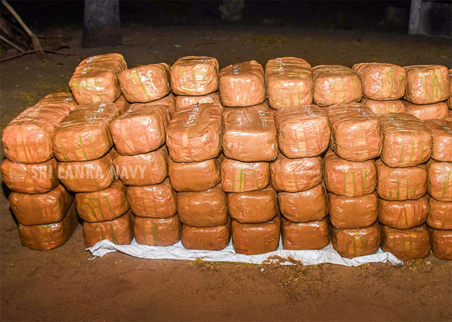 Kerala cannabis valued over Rs. 87 million seized in Pesalai