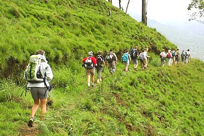 Sri Lanka’s adventure tourism market projected to hit USD 2.1 billion by 2035: report