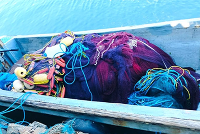 38 persons apprehended for engaging in illegal fishing