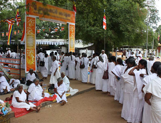 National Poson Week declared from June 7-13