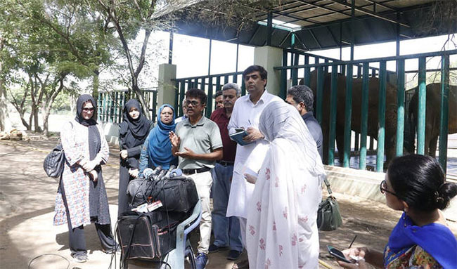 Sri Lankan experts arrive in Pakistan to examine ailing elephants