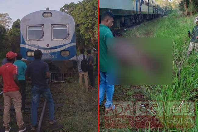 Meenagaya train derails after colliding with elephant