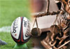 Appeals Court dismisses contempt charges against Sports Director General over rugby elections