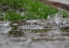South-West monsoon sets in: Showers expected in several provinces 