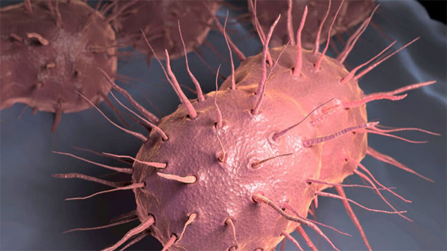 World-first gonorrhoea vaccine launched as infections soar in England