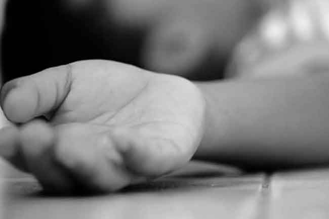 7-year-old killed in wild elephant attack in Gomarankadawala