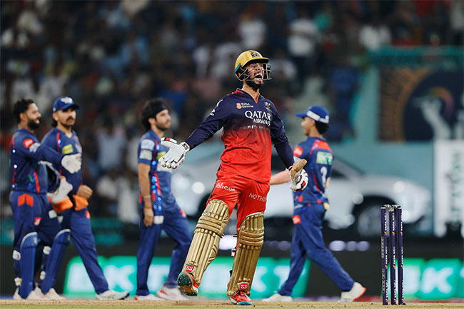 IPL 2025: RCB to face Punjab in Qualifier 1, Mumbai vs Gujarat in Eliminator
